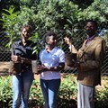 L-R: Purity Kabuba, Koppert; Jennifer Githaiga, Koppert; John Orwa, forester at Karura Forest