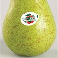 Promotional campaign launched for Abate Fetel pears