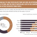 Fewer than half of Arab youth believe there are good job opportunities avaialble to them.