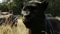 Jungle Book will steal your heart!