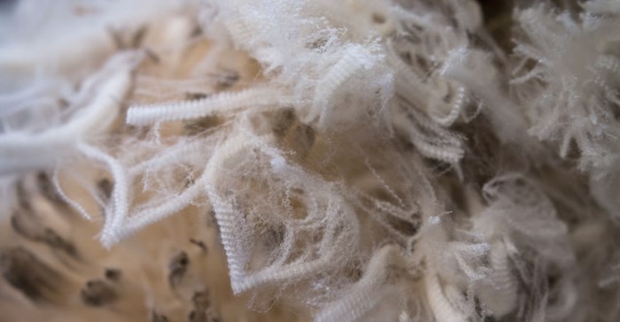 Wool market 2.5% lower