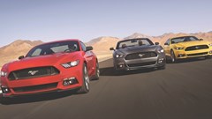 Branding and Mustang