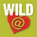 Spar sponsors Wildfees festival