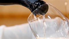 #WeeklyWineWrap: South African producer takes giant solar power leap