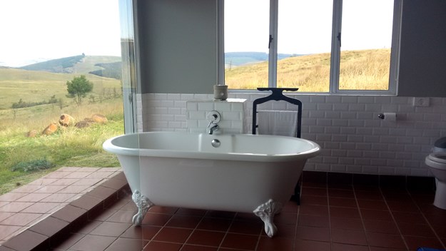 The rolling hills of Brahman