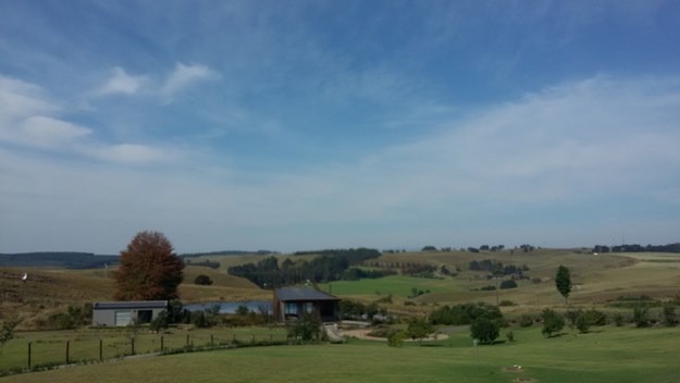 The rolling hills of Brahman