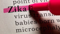 Learnings from Zika and reproductive rights in Africa