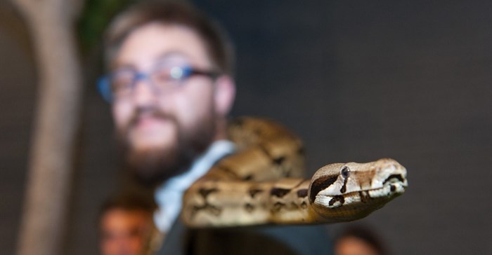 ExpoRSA curating valuable learning experiences