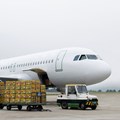 Airports company seeks to use a wider range of suppliers