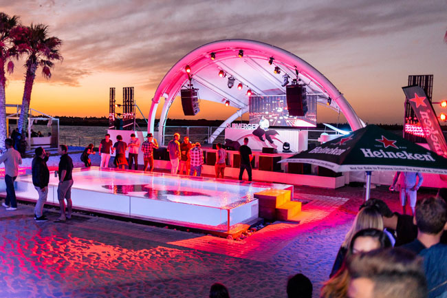 Goldfish cruise through at Shimmy