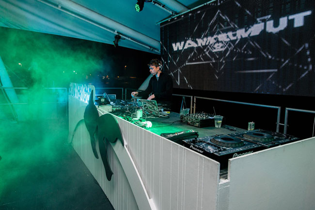 Goldfish cruise through at Shimmy