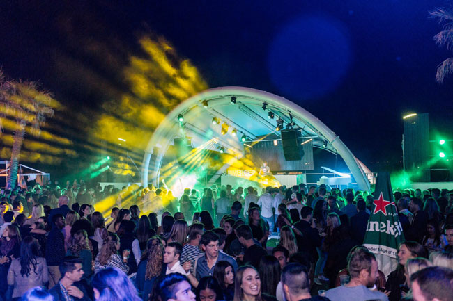 Goldfish cruise through at Shimmy