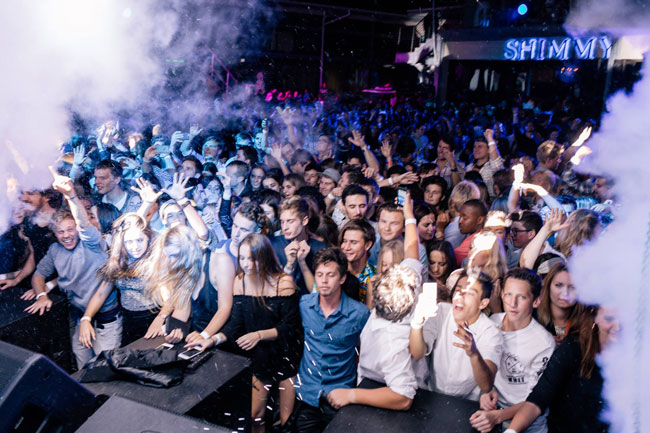 Goldfish cruise through at Shimmy