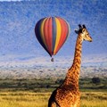 21 reasons why you should go on a balloon safari in the Masai Mara