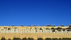 Class action could suck the breath out of the mining industry