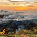 Farmers must plan for veld fire risk during dry winter months