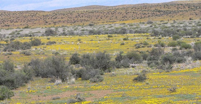 Fracking moves one step