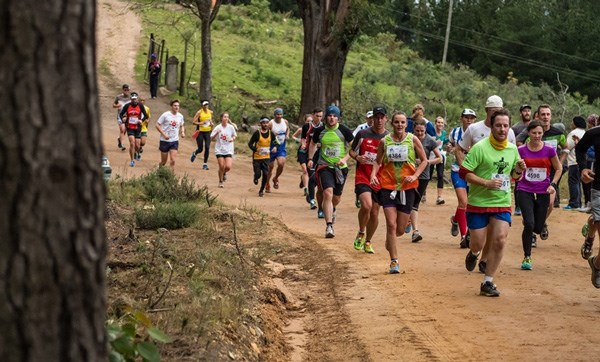 Breathtaking views at the Knysna Forest Marathon