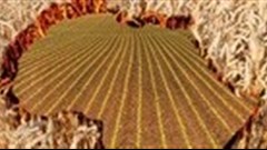 Food security focus for Africa's Indian Ocean islands