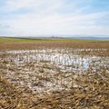 Research quantifies the extent of SA's waterlogged and salt-affected soils