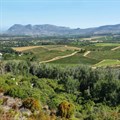 Constantia Valley opens tourism office