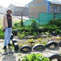 - Sizwe Nyuka Mlenzana at his Ekasi Green Project. Photo: Pumla Tuko