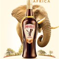 #FreshOffTheShelf: Amarula launches new bottle to celebrate elephant conservation