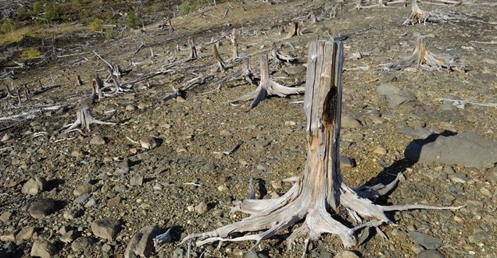 24-billion tonnes of fertile soil lost annually