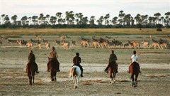 Ten reasons why you should explore the Makgadikgadi Pans