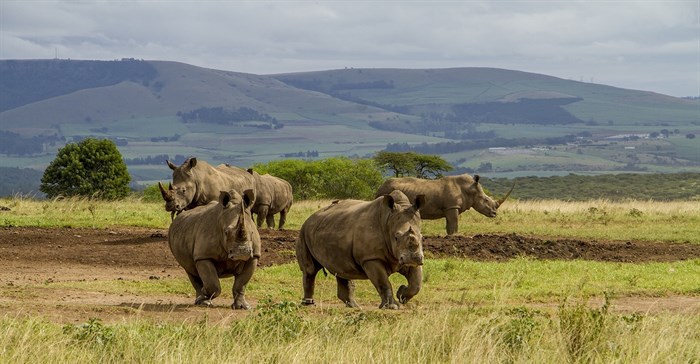 Collaboration to benefit wildlife of Tala Game Reserve