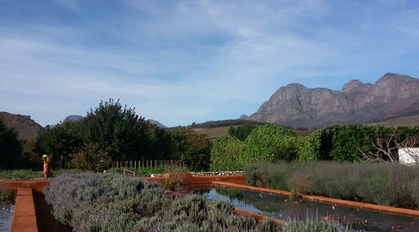 The bounty of Babylonstoren