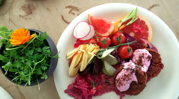 The bounty of Babylonstoren