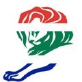#CannesLions2016: All the South African winners!