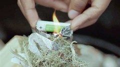 Screenshot from the ad.