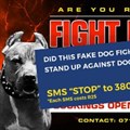 The NSPCA's official response...