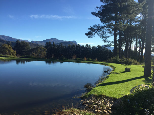 48 hours in Cape Town