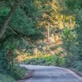 New self-drive route allows travellers to see Knysna rooted in time