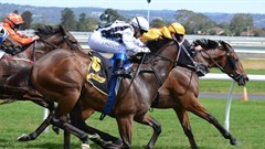 Who led the Durban July field online?