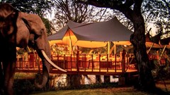Elephant Café launches on the banks of the Zambezi