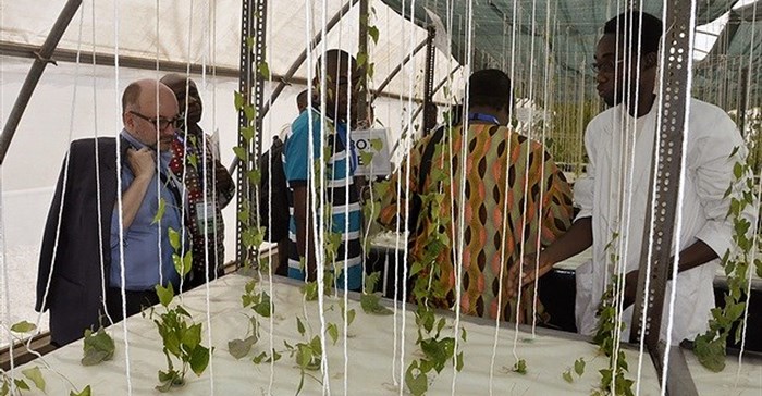 Photo/International Institute of Tropical Agriculture/Flickr