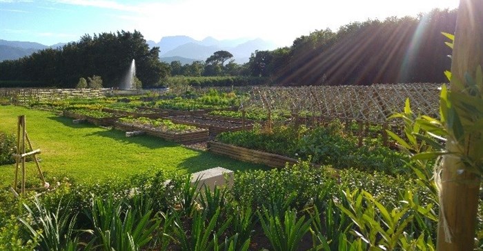 Boschendal food garden tour invites all green fingered foodies