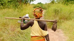 Debunking African agriculture myths