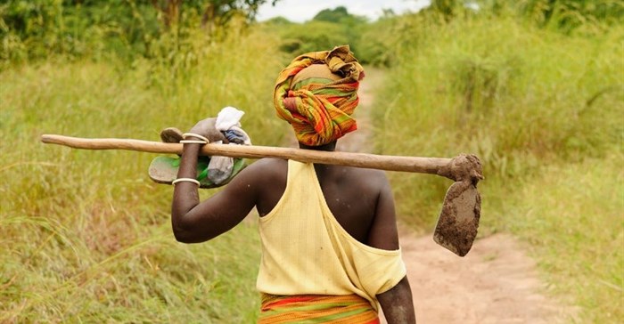 Debunking African agriculture myths