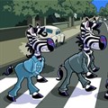 #MandelaMonth: A zebra crossing with a difference