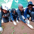 #MandelaMonth: SANParks gets green-fingered this Mandela Day