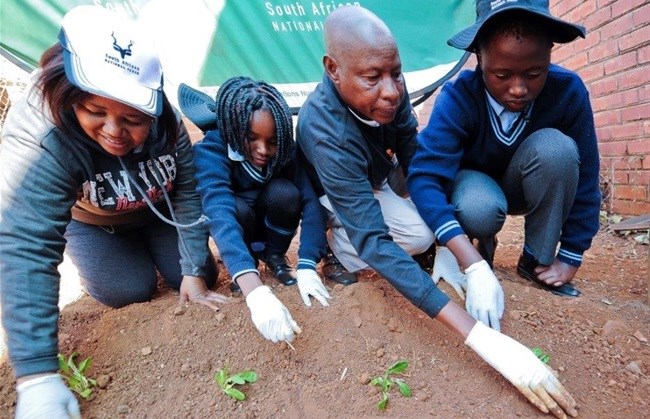 #MandelaMonth: SANParks gets green-fingered this Mandela Day