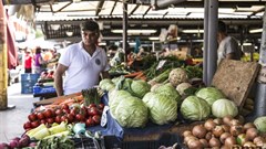 PMA Fresh Connections designed for SA fresh produce sector