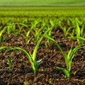 Five fundamentals for sustainable agricultural business