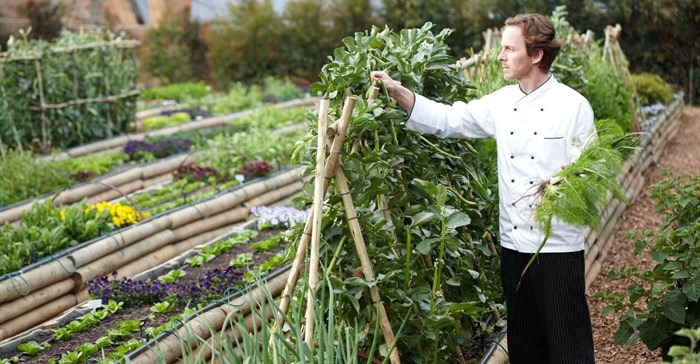 Marketing SA food and wine tourism to international travellers