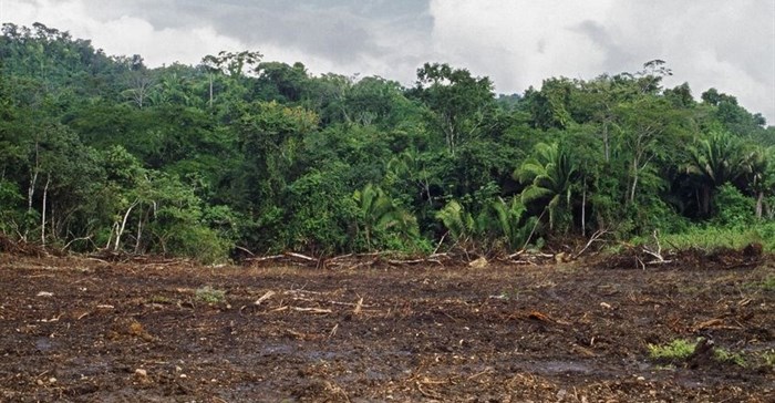 Better forest management needed for building sustainable agriculture